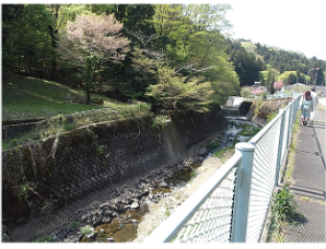 ＜対象河川の現地踏査＞